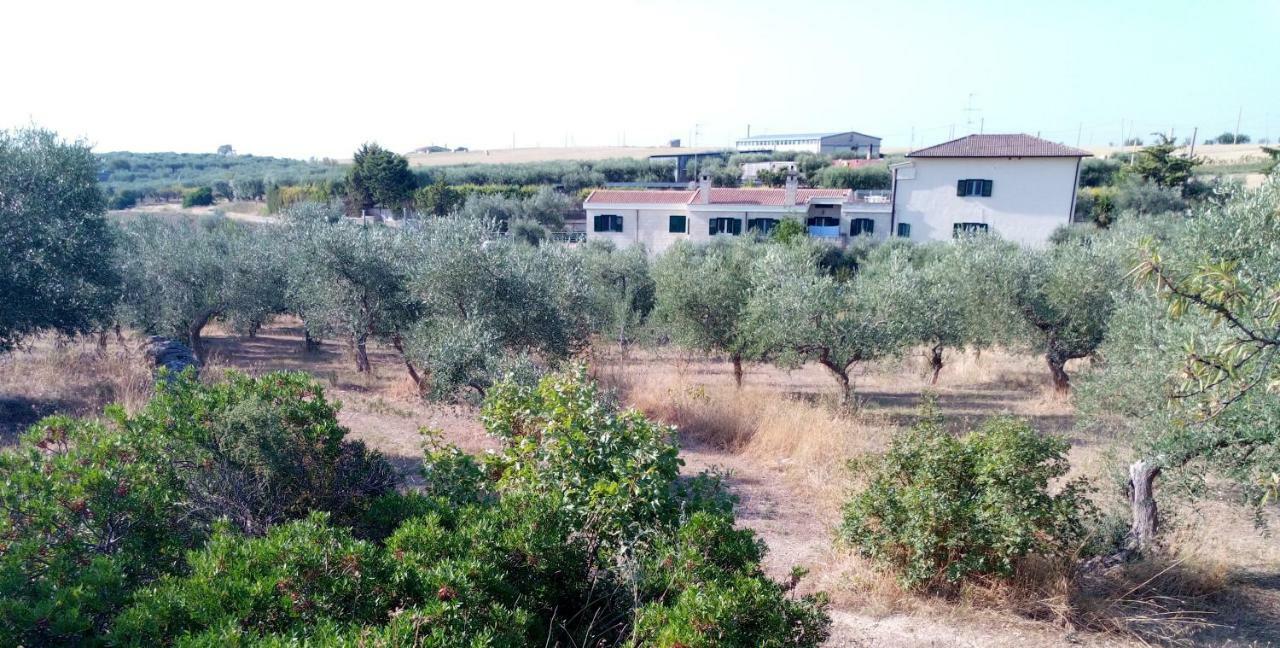 Dimore All'Ofra ماتيرا المظهر الخارجي الصورة